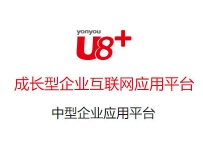 深圳U8+ERP